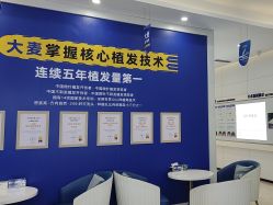 体验后-大麦微针植发全国连锁