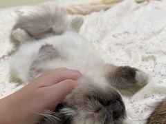 -联合动物医院(光谷诊疗中心)