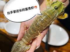 -凯华海鲜火锅·传承三十六年