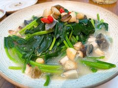 上汤有机菠菜-苏湘杭(普罗旺世店)