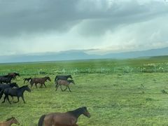 -新疆那拉提国家旅游度假区