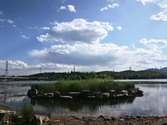 -永定河休闲森林公园