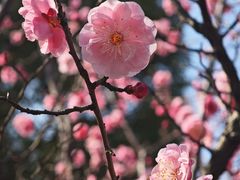 -苏州太湖国家湿地公园