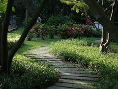 -晓港公园