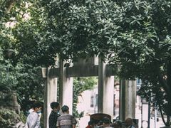 -白沙古井