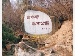 -白水寺森林公园