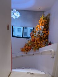 -WENDY·温迪皮肤管理