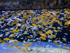 -成都浩海立方海洋公园