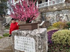 -无锡梅园公园