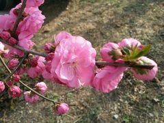 -意大利农场度假村