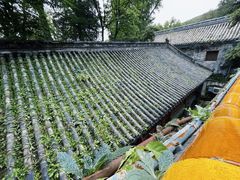 -潭柘寺景区