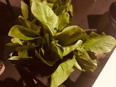 -京韵胡同·酱香羊蝎子火锅涮肉(长寿路店)