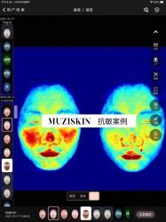 点击看大图 -木子美学