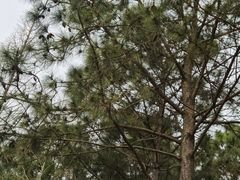 -渤公岛生态公园