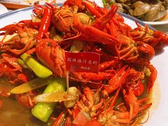 -杨氏青龙虾·羊蝎子(托乐嘉店)
