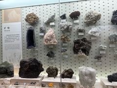 -浙江自然博物院(杭州馆)
