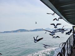 -海驴岛(荣成市)