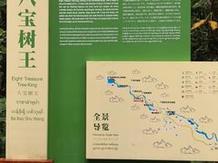 -莫里热带雨林景区