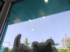 -东日国际动物医院·CT·心脏专科(桃源分院)