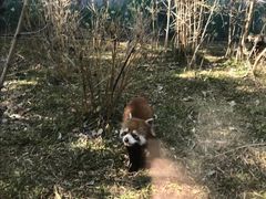 -东部华侨城