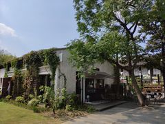 -田园东方蜜桃村的田野营地