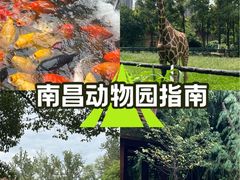 -南昌动物园