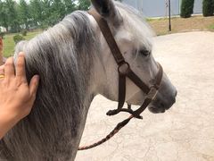 -酷鱼垂钓CLUB(朝阳区博大路店 )