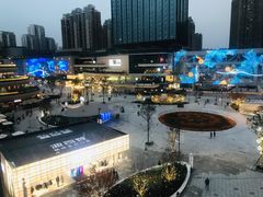 -花潮料理艺食馆(成都万象城店)