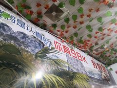 -武氏皖北网红三胖地锅鸡(桐城路店)