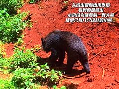 -海南热带野生动植物园