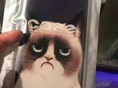 -猫咪博物馆(顶澳仔猫街店)