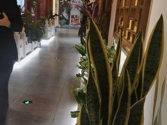 -秦月轩·陕西家乡菜(阜成路·五棵松店)