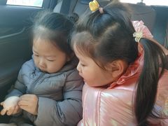 -好奇星国际托育(金地自在城校区)
