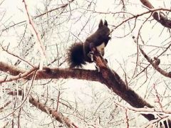 -长春市南湖公园