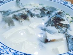 -全乐鱼馆·淳牌有机鱼直营店