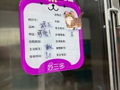 -美联众合动物医院·24h转诊中心
