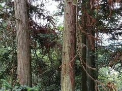 -二郎山