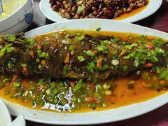 -老丘丘(较场口店)