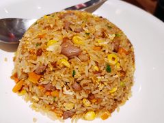 招牌羊肉炒饭-九府羊·鲜羊火锅·烤串(新华路店)