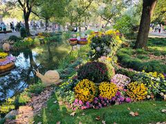 -上海共青森林公园