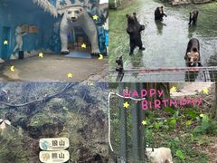 -深圳野生动物园