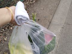 -上海佘山国家森林公园天马山园