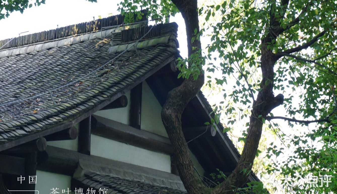 探寻人间风景，假装穿越回古代