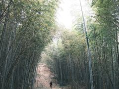 -东明山森林公园