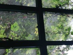 -TORA音乐酒馆