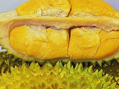 -开皇马来西亚榴莲美食店(华强北店)