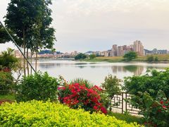 -顺德了能馆(虎门店)