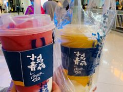 -春丽小马(济南恒隆广场店)