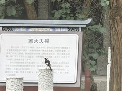 -窦大夫祠