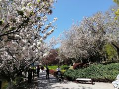 -元大都城垣遗址公园